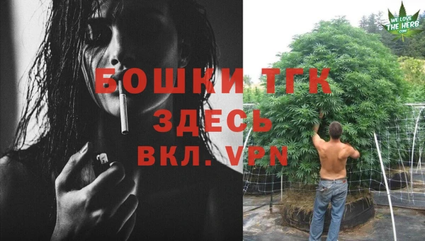 сатива Белоозёрский