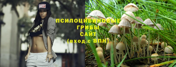 сатива Белоозёрский