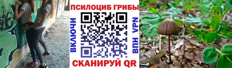 Галлюциногенные грибы мухоморы  Первомайск 